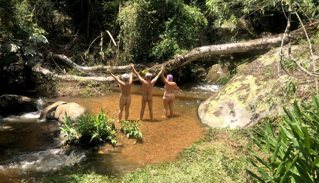 Qaldirgochlarni tomosha qiling Jinsiy aloqa paytida jinsiy olatni qayerga kiritish kerak